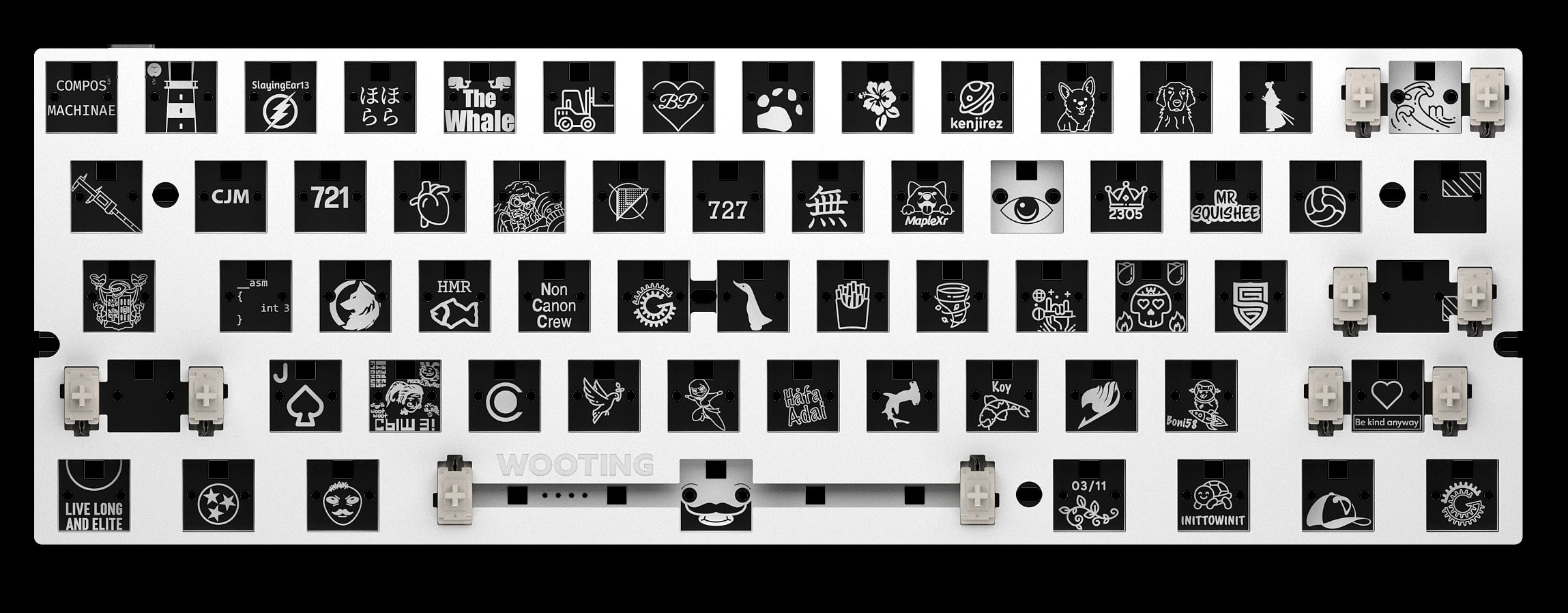 Wooting 60HE+ Module